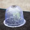 Medium Garden Cloches, Set Of 6 -Garden Tools Store 8593985 347 tif