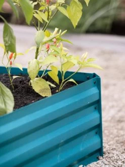 Demeter Corrugated Metal Raised Bed, 34" X 34" -Garden Tools Store 8594183 470 tif