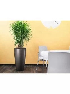 Lechuza® Rondo Self-Watering Planters -Garden Tools Store 8594586 02V tif