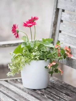 Viva Round Self-Watering Planter, 7" Diameter -Garden Tools Store 8595222 1139 tif