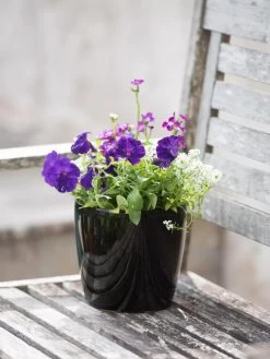 Viva Round Self-Watering Planter, 7" Diameter -Garden Tools Store 8595222 1140 tif