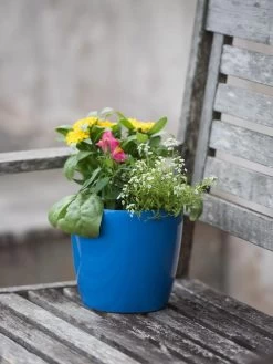 Viva Round Self-Watering Planter, 7" Diameter -Garden Tools Store 8595222 1143 tif