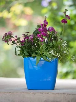 Viva Square Self-Watering Planter, 7" Diameter -Garden Tools Store 8595223 1113 tif