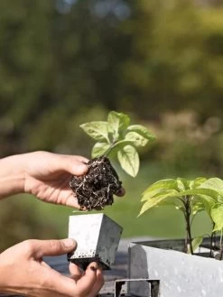 Galvanized Seed Starting Tray -Garden Tools Store 8595893 4378 tif