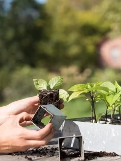 Galvanized Seed Starting Tray -Garden Tools Store 8595893 4382 tif