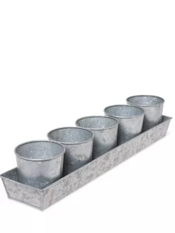 Galvanized Herb Planters With Rectangular Tray 9 Galvanized Herb Planters With Rectangular Tray -Garden Tools Store 8595903 3924 tif