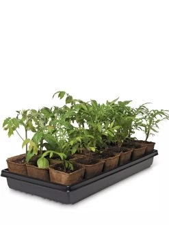 3-1/2” Square Biodegradable Pots & Tray Set -Garden Tools Store 8595968 3916 tif