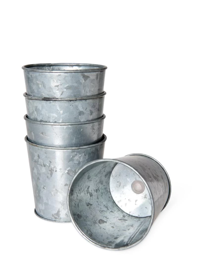 Galvanized Planting Cups, Set Of 5 4 Galvanized Planting Cups, Set Of 5 - Image 2