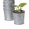 Galvanized Planting Cups, Set Of 5 1 Galvanized Planting Cups, Set Of 5 -Garden Tools Store 8596104 9899 tif
