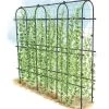 Titan Pea Tunnel -Garden Tools Store 8596275 0002 1 tif