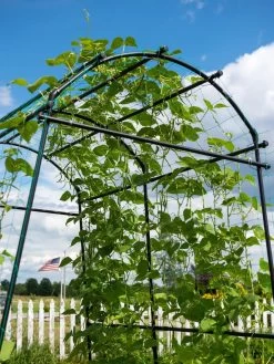 Titan Squash Tunnel 19 Titan Squash Tunnel -Garden Tools Store 8596276 0122 tif