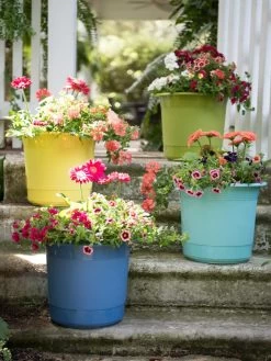 Eezy Gro Self-Watering Planters -Garden Tools Store 8596427 8090 tif