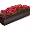 Valencia Window Box, 4' -Garden Tools Store 8596437 10V tif