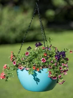 Viva Self-Watering Hanging Basket, 14" Diameter -Garden Tools Store 8596442 0859 tif