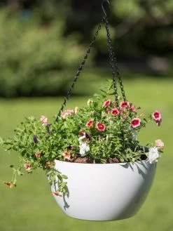 Viva Self-Watering Hanging Basket, 14" Diameter -Garden Tools Store 8596442 0864 tif