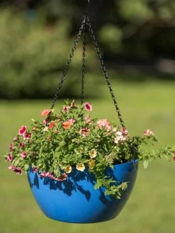 Viva Self-Watering Hanging Basket, 14" Diameter -Garden Tools Store 8596442 0876 tif