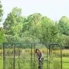 Crop Cage, 4' X 12' 2 Crop Cage, 4' X 12' -Garden Tools Store 8596540 9838 1 large fruit crop cage 4 foot x 12 foot tif