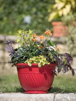 Mazzano Self-Watering Planters -Garden Tools Store 8596564 4883 tif