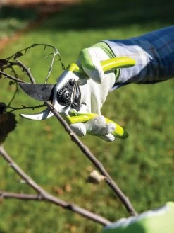 Gardener's Pro Pruner #2 -Garden Tools Store 8596605 032 tif