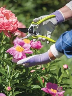 Gardener's Pro Pruner #2 -Garden Tools Store 8596605 1261 tif