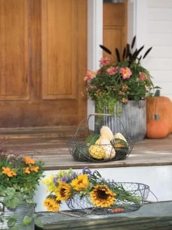 Galvanized Rim Planters -Garden Tools Store 8597379 1625 tif