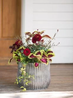 Galvanized Ribbed Planters 8 Galvanized Ribbed Planters -Garden Tools Store 8597435 1693 tif