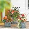 Galvanized Ribbed Planters 2 Galvanized Ribbed Planters -Garden Tools Store 8597436 1680 tif