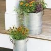Galvanized Rim Planters -Garden Tools Store 8597442 1700 tif