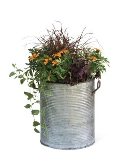 Galvanized Rim Planters -Garden Tools Store 8597443 1704 tif