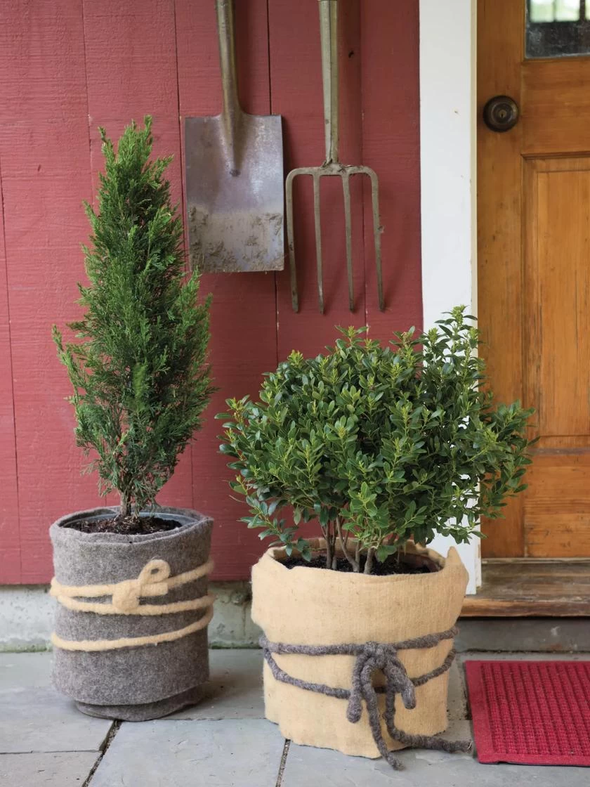 GardenWool® Plant Blanket 3 GardenWool® Plant Blanket