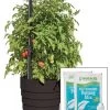 Gardener’s Victory Self-Watering Planter Garden Kit -Garden Tools Store 8598389 5000 tif