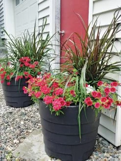 Gardener’s Victory Self-Watering Patio Planter