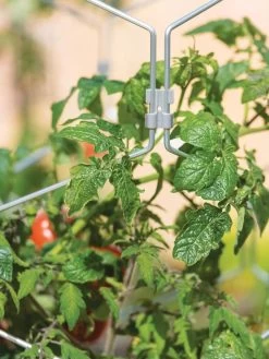 Gardener's Vertex Lifetime Tomato Cage -Garden Tools Store 8598426 0011 tif