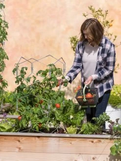 Gardener's Vertex Lifetime Tomato Cage -Garden Tools Store 8598426 0026 tif