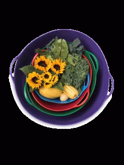 Colorful Tubtrug, 7 Gallon -Garden Tools Store 8599088 20GalTubTrug gif