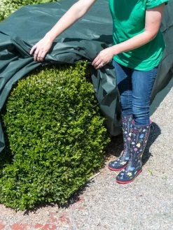 The Planket® Frost Protection Plant Cover, 10' X 20' 9 The Planket® Frost Protection Plant Cover, 10' X 20' -Garden Tools Store 8599101 0929 tif