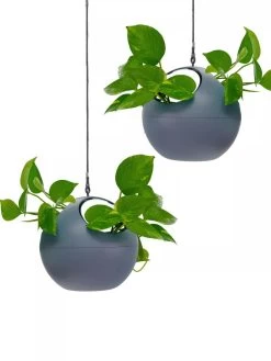 Exaco Euro Hanging Planters, Set Of 2 -Garden Tools Store 8599179 04V tif