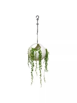 Exaco Euro Hanging Planters, Set Of 2 -Garden Tools Store 8599179 06V tif