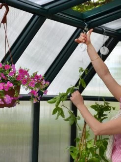 Canopia® By Palram Hobby Gardener Greenhouse, 8' -Garden Tools Store 8599331 04V tif