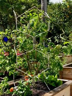 Gardener's Vertex Lifetime Pepper And Eggplant Cage 13 Gardener's Vertex Lifetime Pepper And Eggplant Cage -Garden Tools Store 8599554 01CUST tif