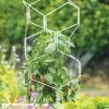 Gardener's Vertex Lifetime Pepper And Eggplant Cage 1 Gardener's Vertex Lifetime Pepper And Eggplant Cage -Garden Tools Store 8599554 3000 tif