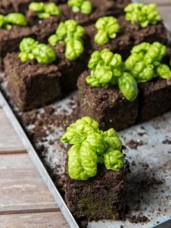 Soil Blocker, 4 Cell -Garden Tools Store 8599790 1057 tif