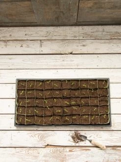 Paper Pots, 50 Cell -Garden Tools Store 8599830 18489 tif