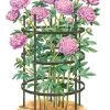 Titan Peony Supports, Large, Set Of 2 -Garden Tools Store 8599857 0001 art tif