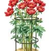 Titan Peony Supports, Medium, Set Of 2 -Garden Tools Store 8599858 0001 art tif