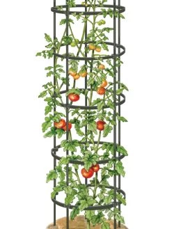 Titan Tall Tomato Cages, Set Of 3 11 Titan Tall Tomato Cages, Set Of 3 -Garden Tools Store 8599860 0002 art tif