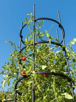 Titan Tall Tomato Cages, Set Of 3 10 Titan Tall Tomato Cages, Set Of 3 -Garden Tools Store 8599860 0066 tif