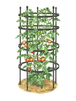 Titan Tomato Cages, Set Of 3 13 Titan Tomato Cages, Set Of 3 -Garden Tools Store 8599861 0001 art tif