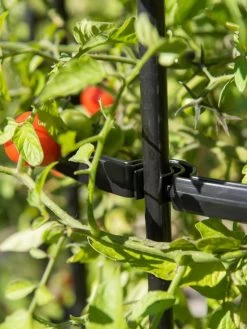 Titan Tomato Cages, Set Of 3 15 Titan Tomato Cages, Set Of 3 -Garden Tools Store 8599861 0079 tif