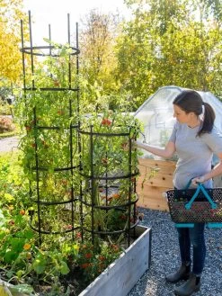 Titan Tomato Cages, Set Of 3 11 Titan Tomato Cages, Set Of 3 -Garden Tools Store 8599861 0114 tif